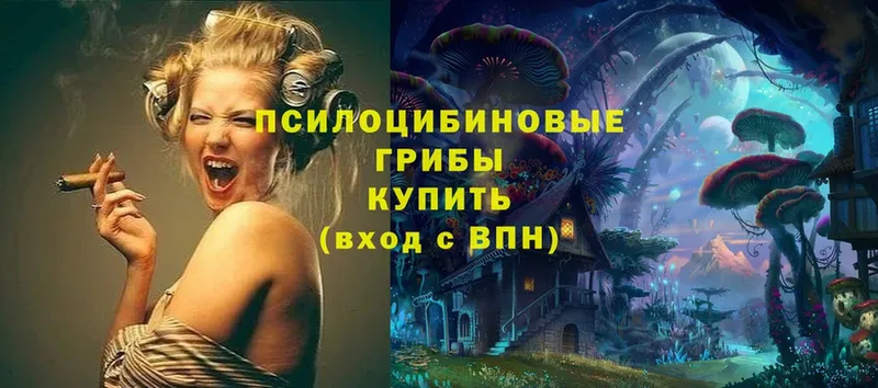 Псилоцибиновые грибы Cubensis  Богородицк 